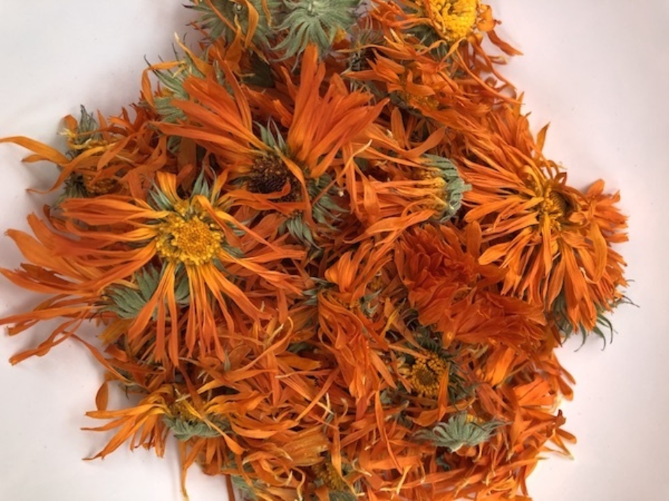 カレンデュラハーブ蒸しセット 楽天市場】カレンデュラ・ハーブ蒸しセット（マント・オレンジ