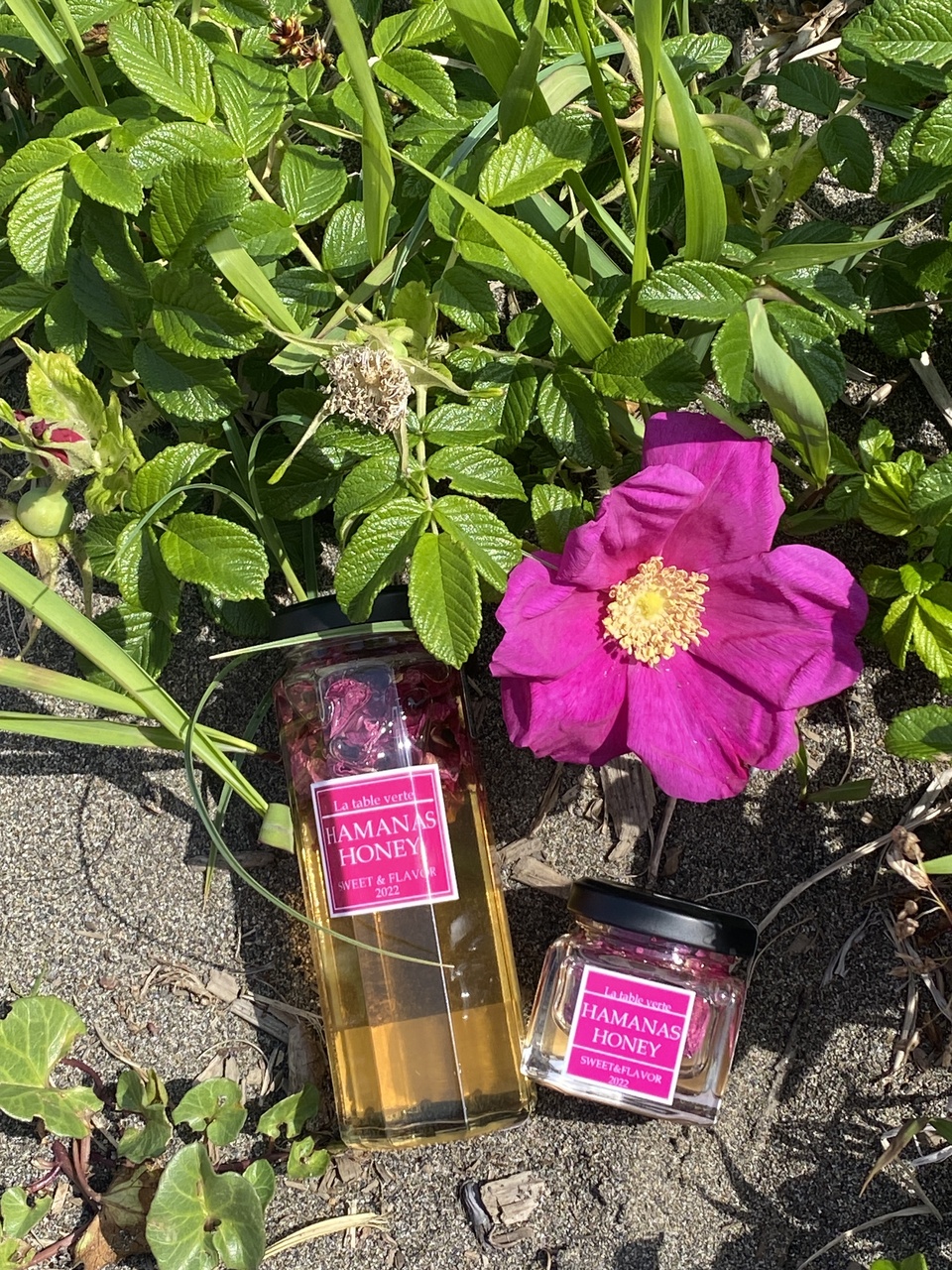 北海道産のローズハニー「HAMANAS HONEY」