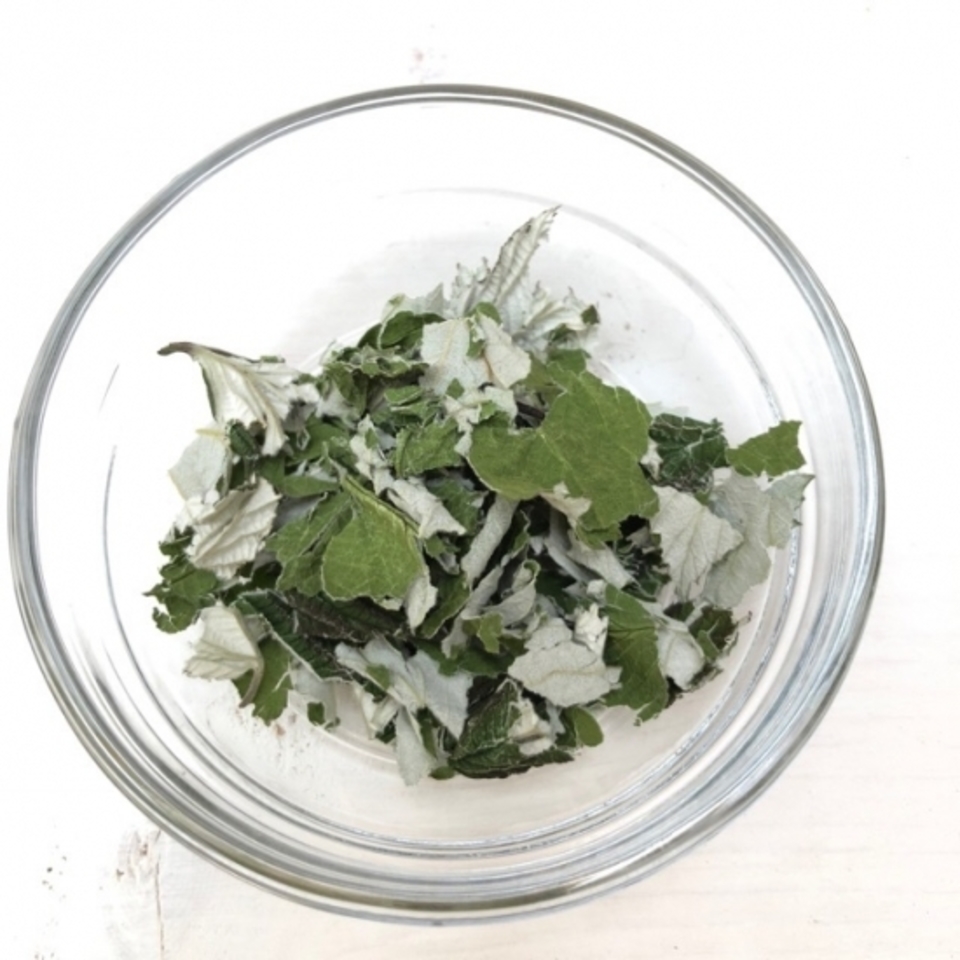 無農薬シングルハーブティー ラズベリーリーフ ラ ターブルベール 北海道産 ハーブティー通販 たべるとくらすと