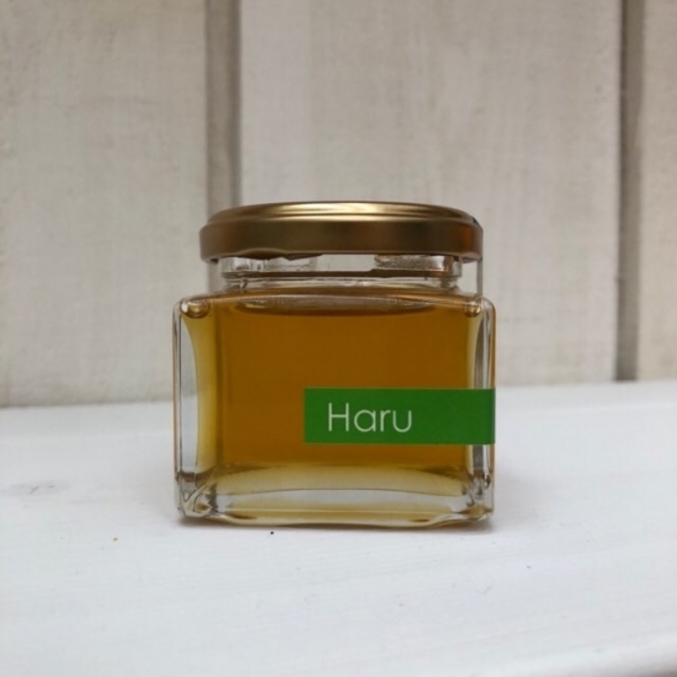 《非加熱・無投薬》自然養蜂で採取した北海道の春の蜂蜜 「Haru」