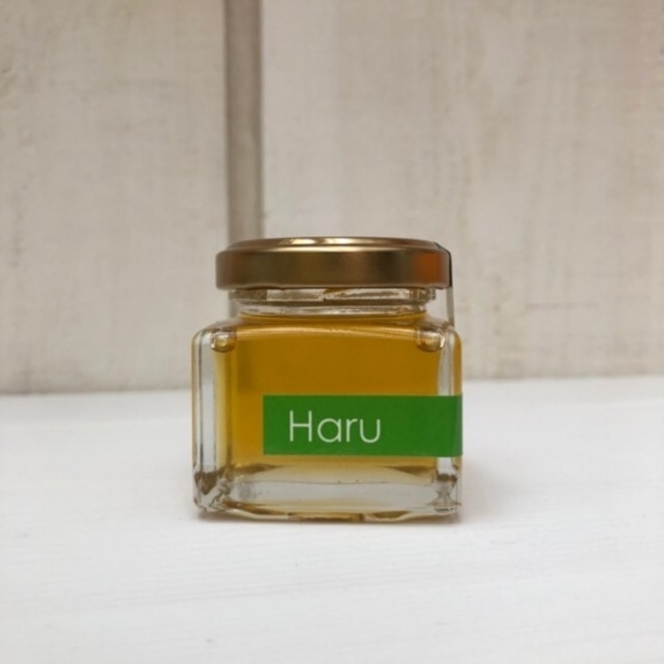 《非加熱・無投薬》自然養蜂で採取した北海道の春の蜂蜜 「Haru」