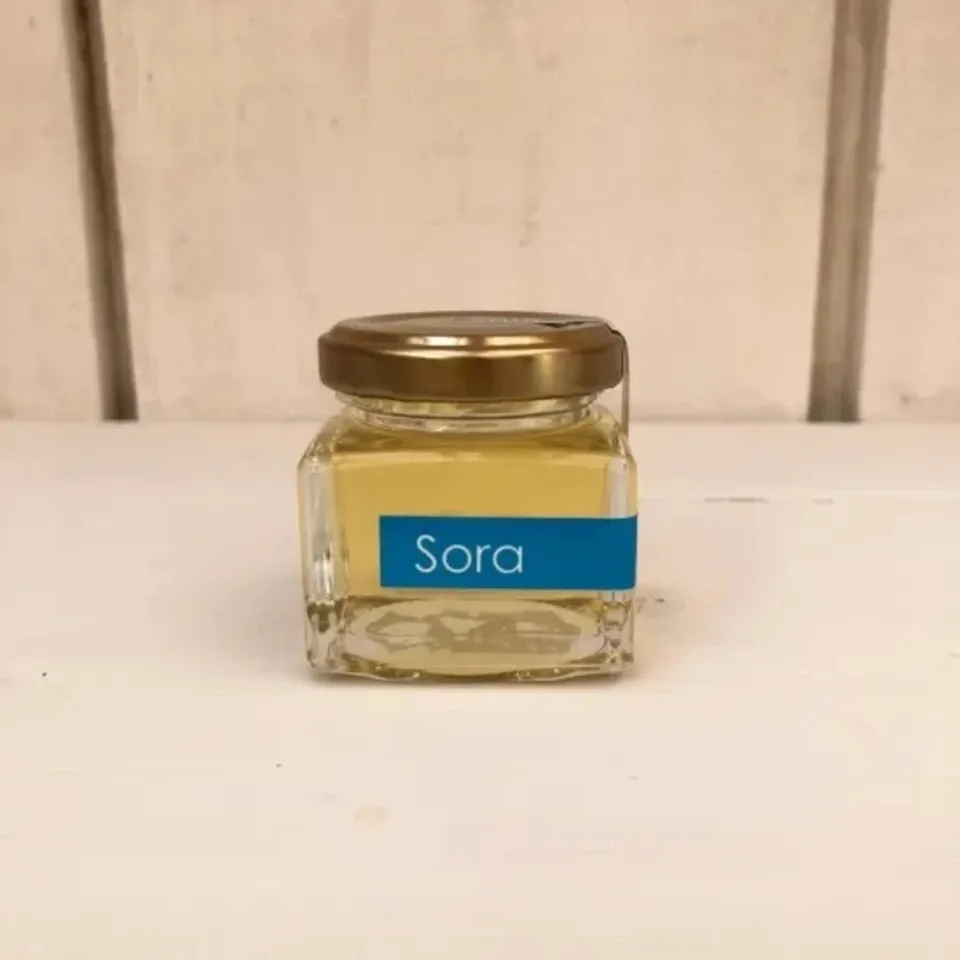 《非加熱・無投薬》自然養蜂で採取した北海道の盛夏の蜂蜜 「Sora」