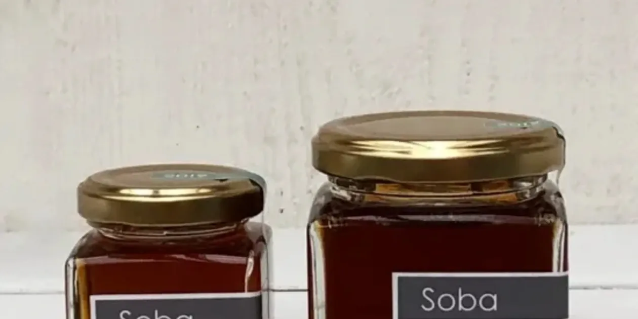 toakoさん専用国産ソバ蜂蜜B品2400g×3 非加熱・無投薬》自然養蜂で採取したオーガニックそば畑の蜂蜜