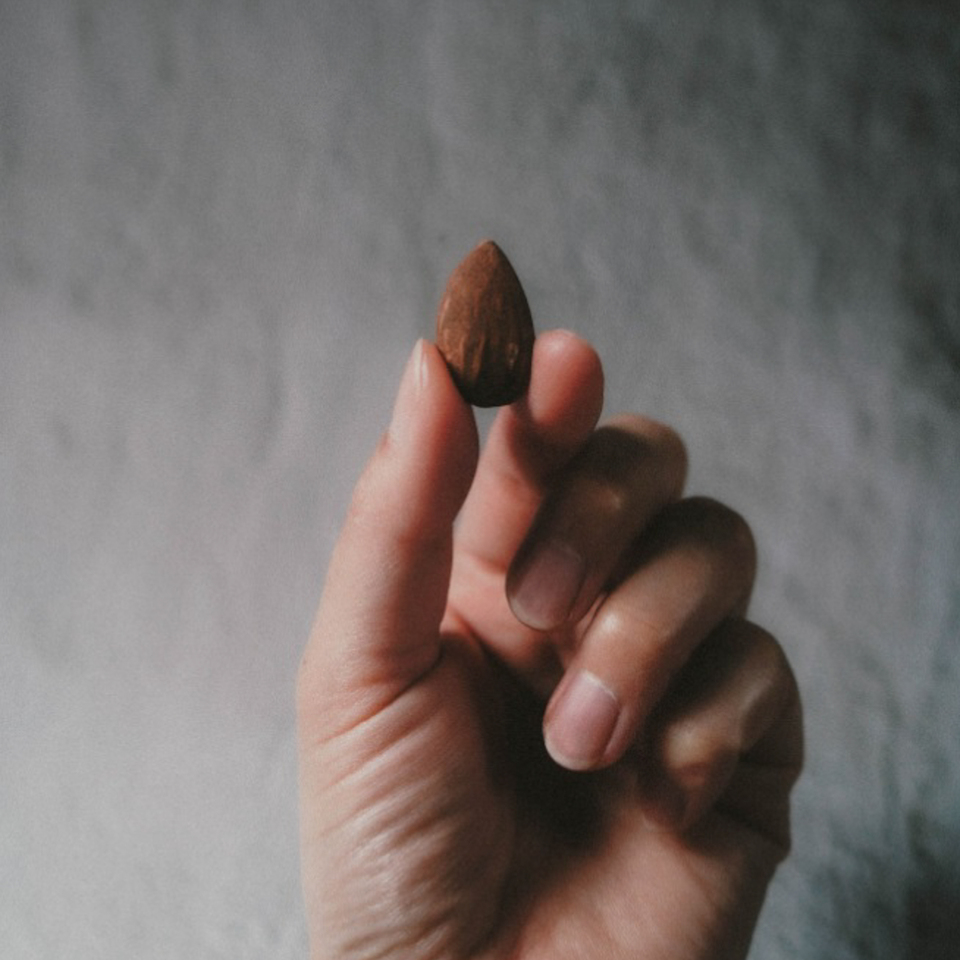 古代原種アーモンド 『 FUZOROI 』 素焼き/無塩 自家焙煎 Antique Almonds