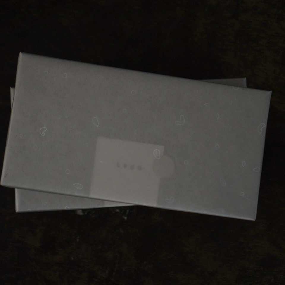 有機大豆の豆菓子ギフト スナックソイ詰め合わせ Lepo (熊本県産