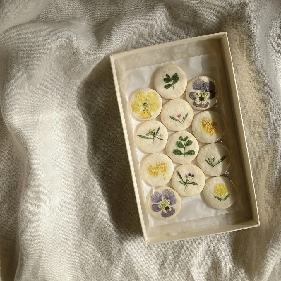 標本菓子箱 ‐初夏採集‐