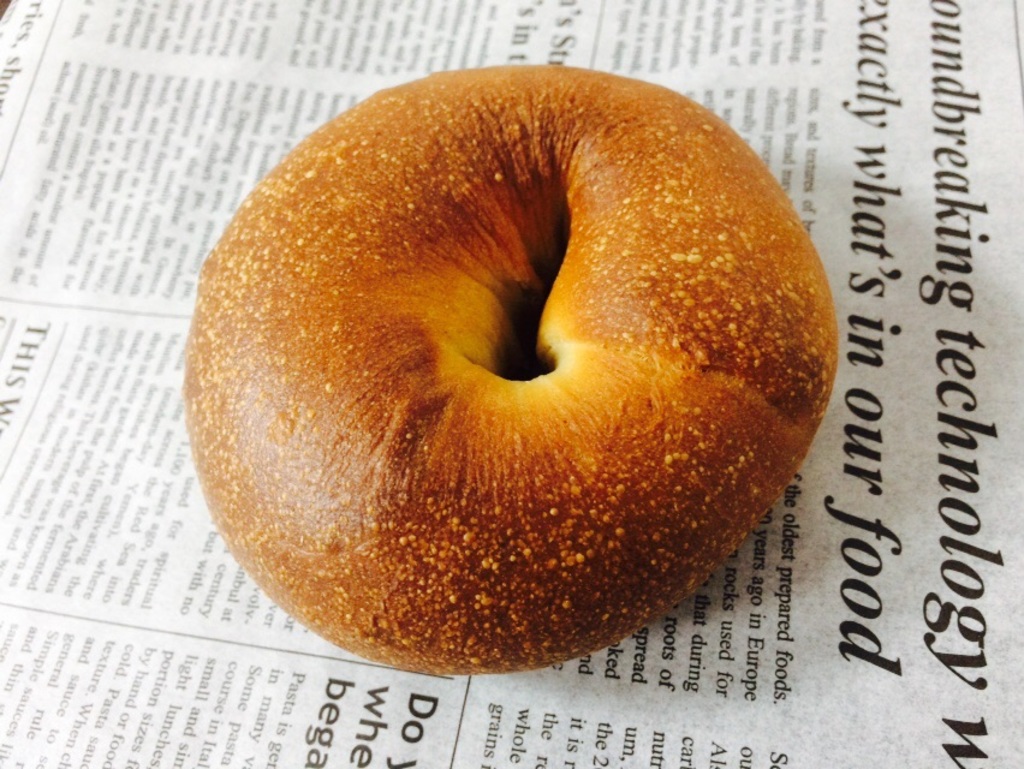 熊本県産 無農薬・無化学肥料 有機JAS認定 小麦粉(強力粉