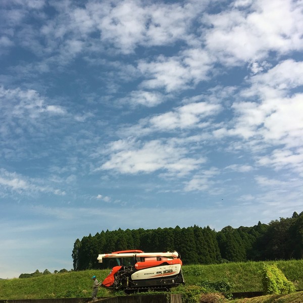 熊本県産 無農薬・無化学肥料 有機JAS認定 押し麦 の通販 ろのわ通販