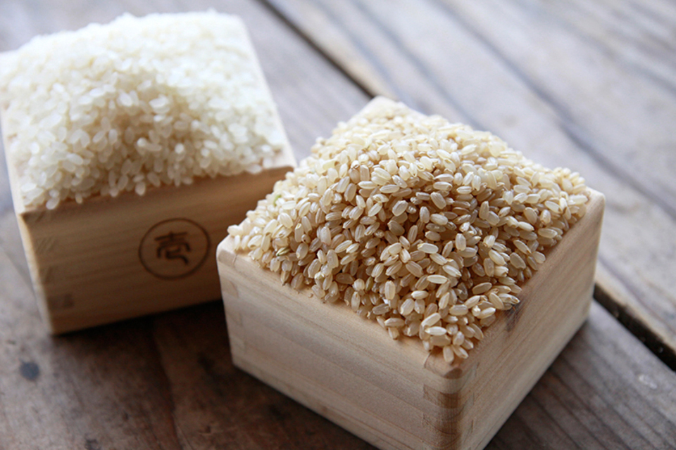 令和7年度】熊本県産「有機米 森のくまさん」 玄米 ろのわ (熊本県産