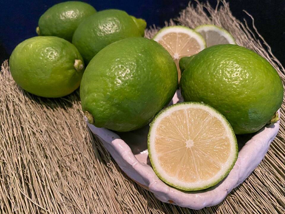 国産の無農薬レモン｜ワックス不使用・農家直送 - たべるとくらすと