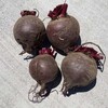 デトロイトダークレッド ビーツ約1kg