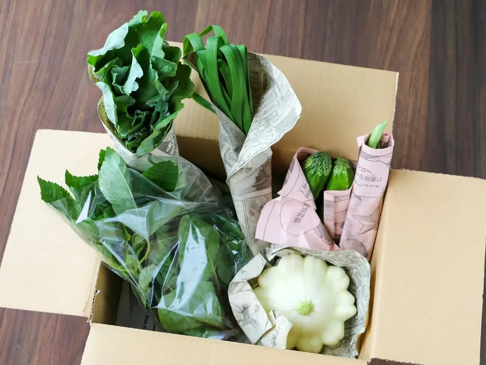 【とても希少な自然栽培＆固定種のみ】自然と一緒に育てた旬の野菜セット