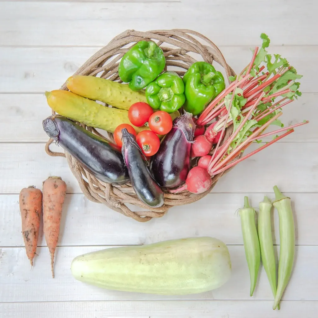 とても希少な自然栽培＆固定種のみ】自然と一緒に育てた旬の野菜セット