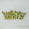 【お問い合わせページ】タラの芽　100g強【おまけで】こごみ　かんぞう　どれか♡ Amazon.co.jp: 山菜食べ比べセット たらの芽・こしあぶら