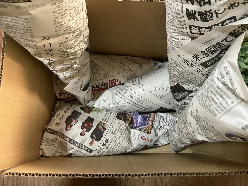 【ほぼ自然栽培!お得なまとめ買い!】高栄養のスーパーフード ケールのまとめ売り!