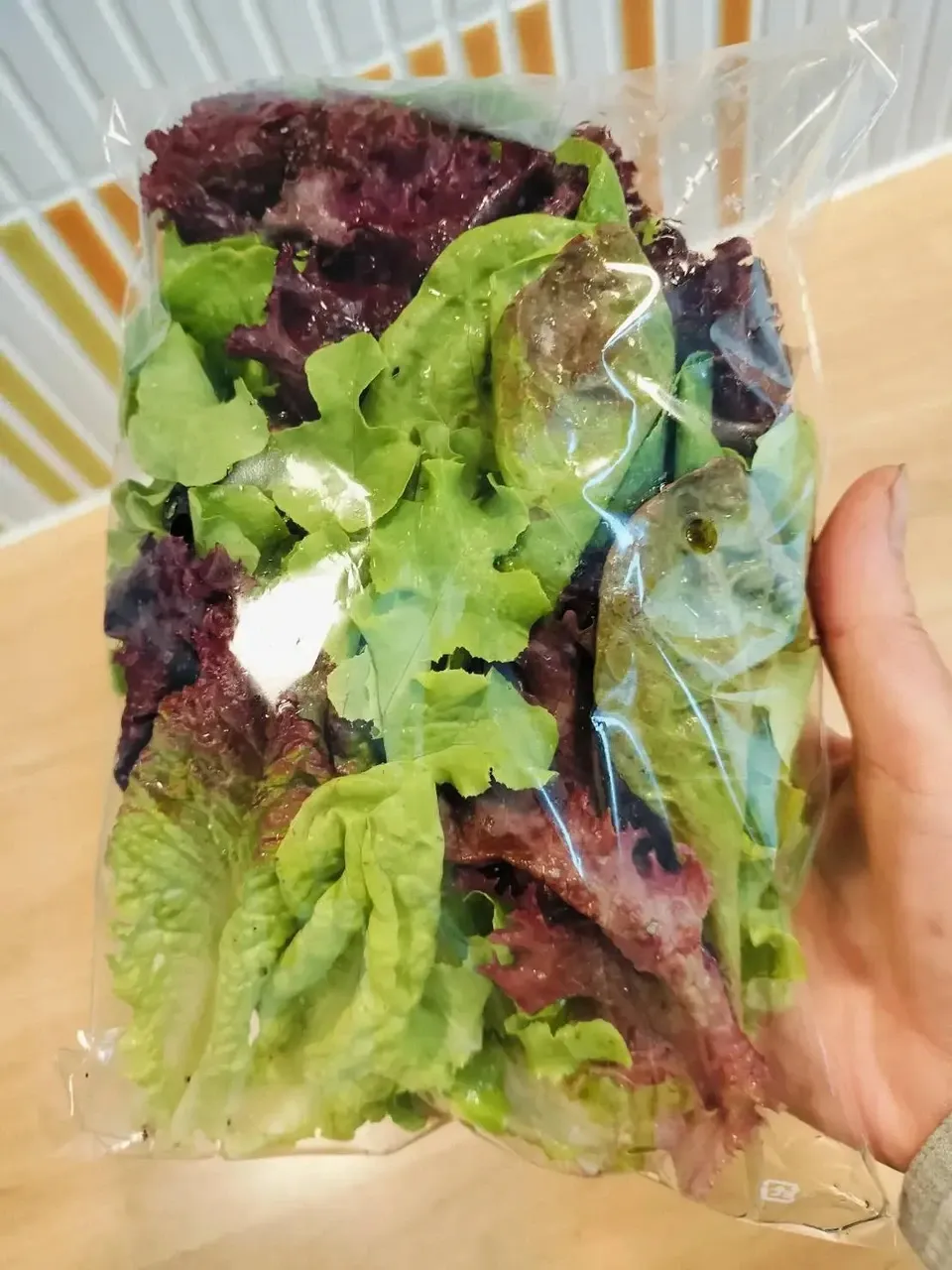 【シャキシャキのサラダを召し上がれ！！】食感が自然の力で育った、彩り豊かな　リーフレタス ミックス　100g/袋×4