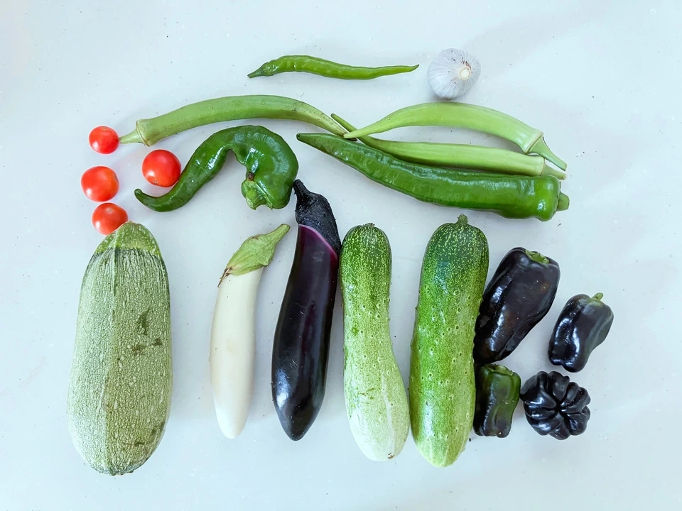 夏野菜セット 水キムチレシピ付き【発酵のチカラで、毎日の食卓をもっと楽しく。】 まえむき。の自然栽培野菜