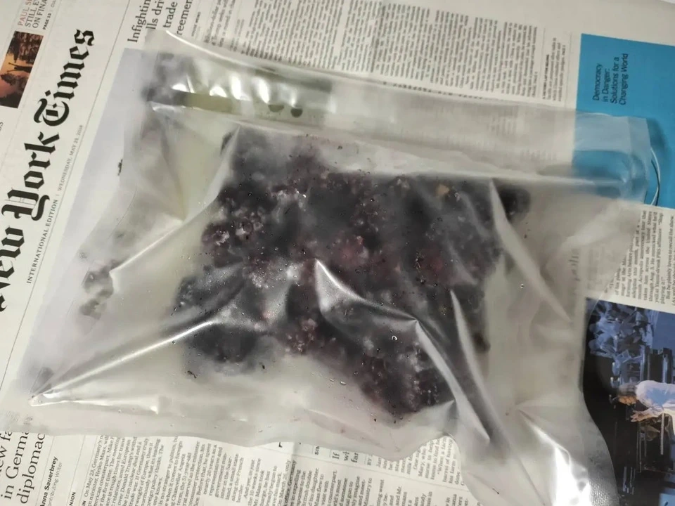 【旬のとれたての味をそのまま閉じ込めました!】自然栽培完熟ブラックベリー≪冷凍≫