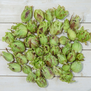 マコモダケ マリポ農園 (千葉県産) マコモダケ通販 - たべるとくらすと