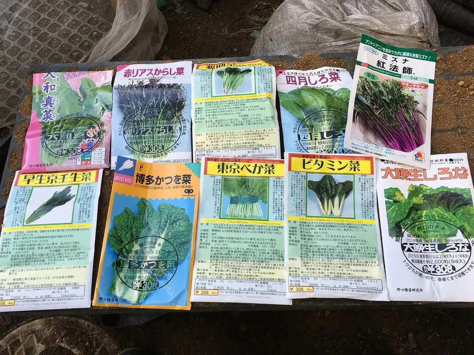 とても希少な自然栽培＆固定種のみ】自然と一緒に育てた旬の野菜セット