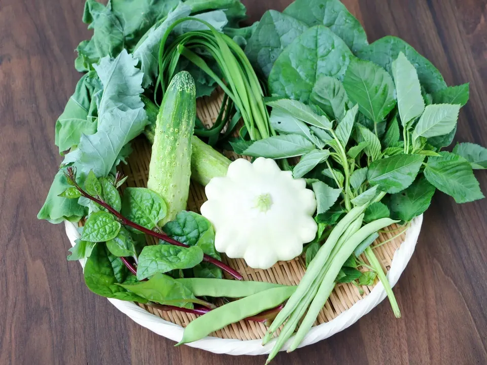 とても希少な自然栽培＆固定種のみ】自然と一緒に育てた旬の野菜セット