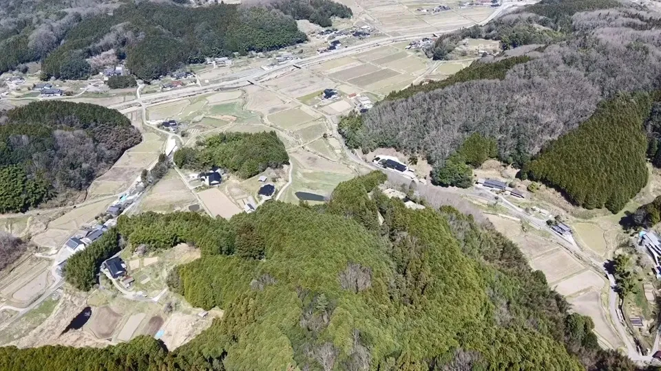 令和7年度産 ＜中生新千本＞白米/玄米 自然栽培・自家採種 まごころ