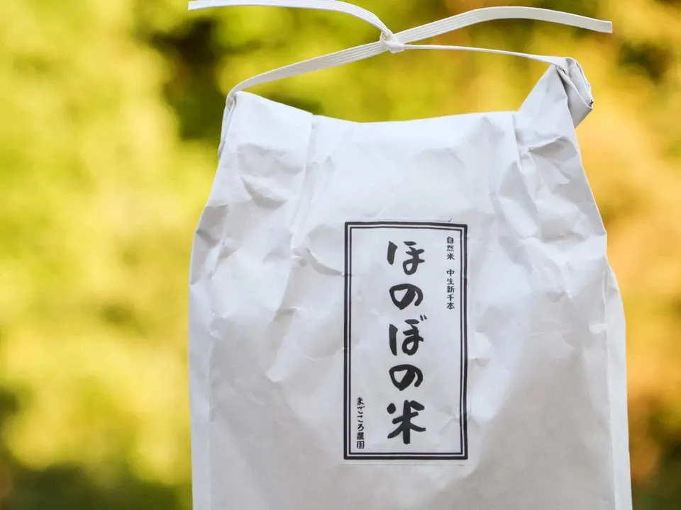 ＜新米目前割＞令和4年度産 / 「中生新千本」白米/玄米　自家採種・自然栽培