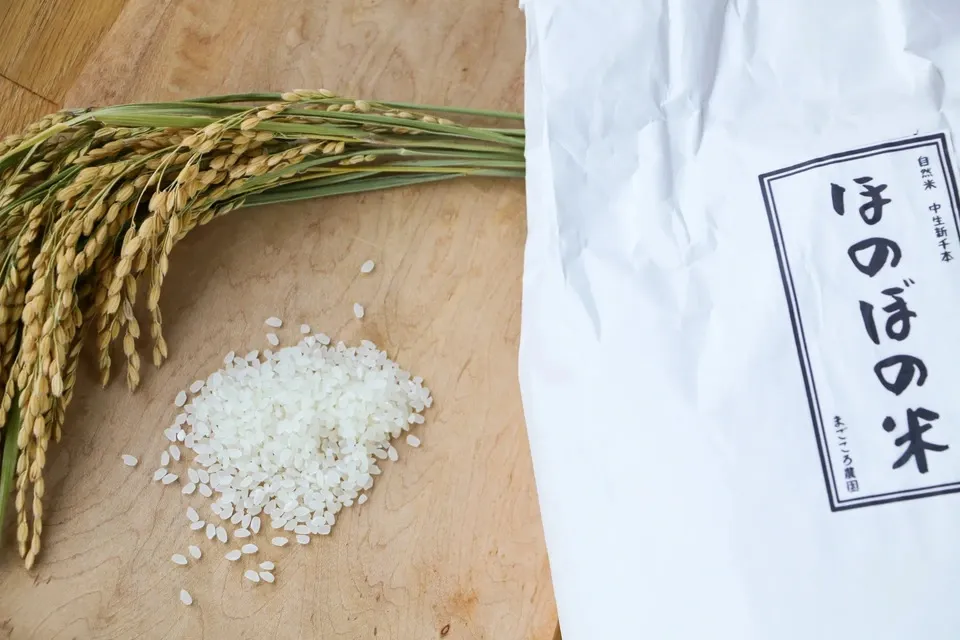 令和7年度産 ＜中生新千本＞白米/玄米 自然栽培・自家採種 まごころ