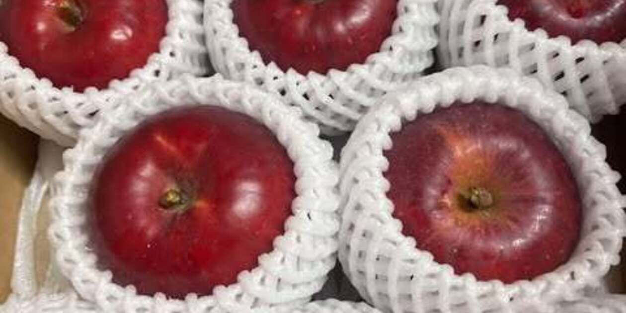 農薬不使用りんご 『紅玉』2Kg まっかなほんと (青森県産) 無農薬
