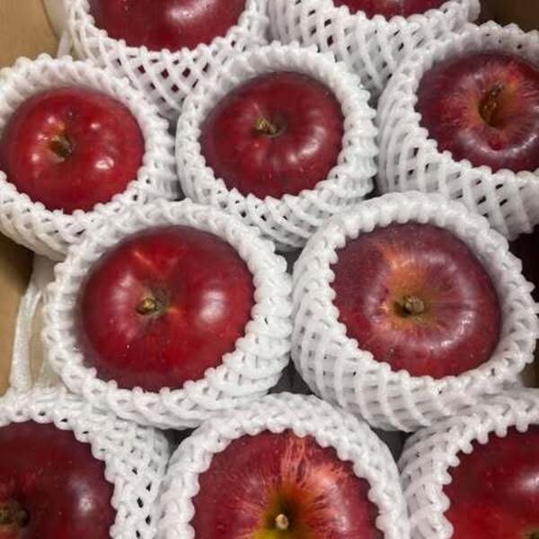 農薬不使用りんご 『紅玉』2Kg まっかなほんと (青森県産) 無農薬