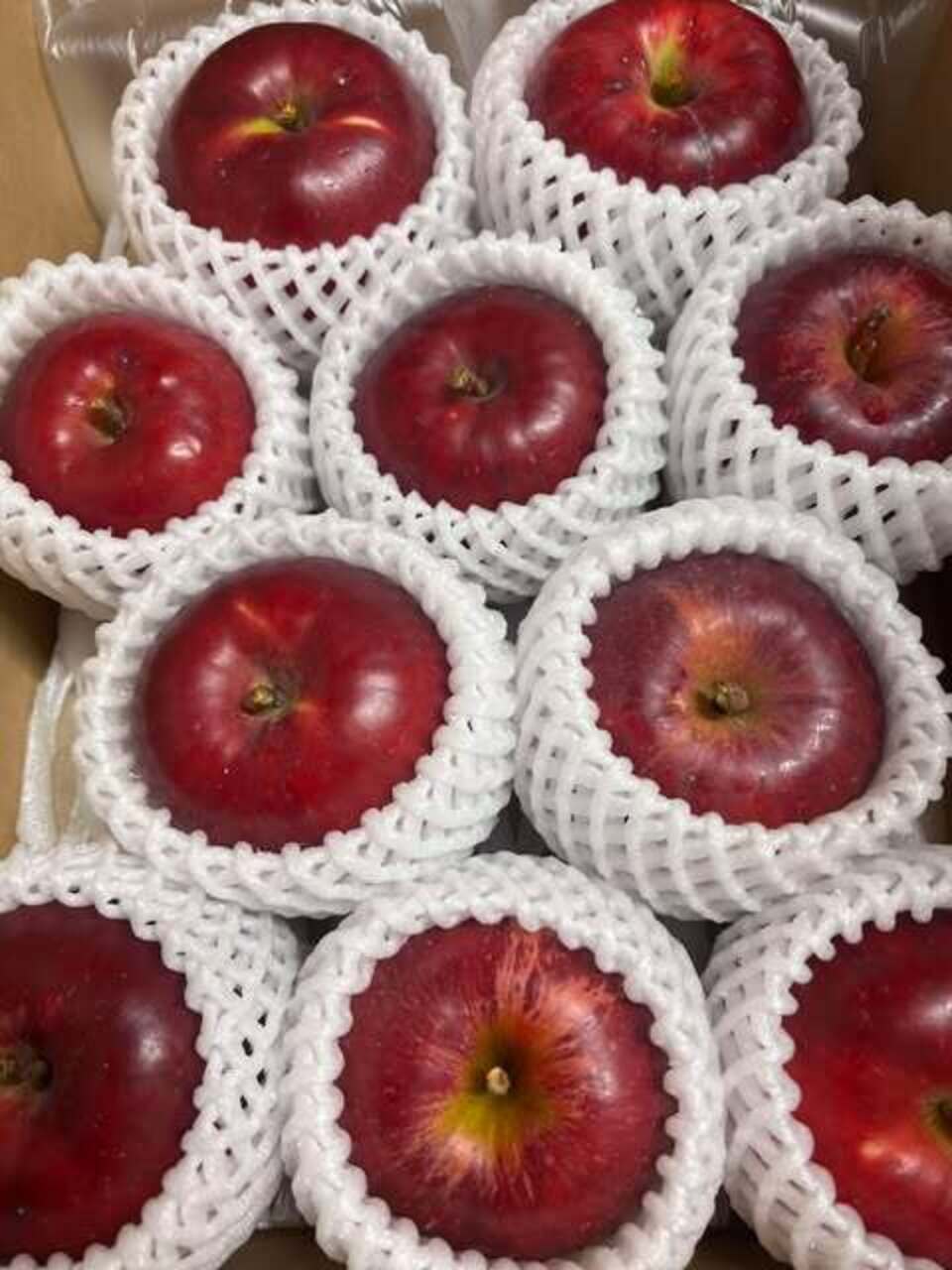 農薬不使用りんご　『紅玉』2Kg