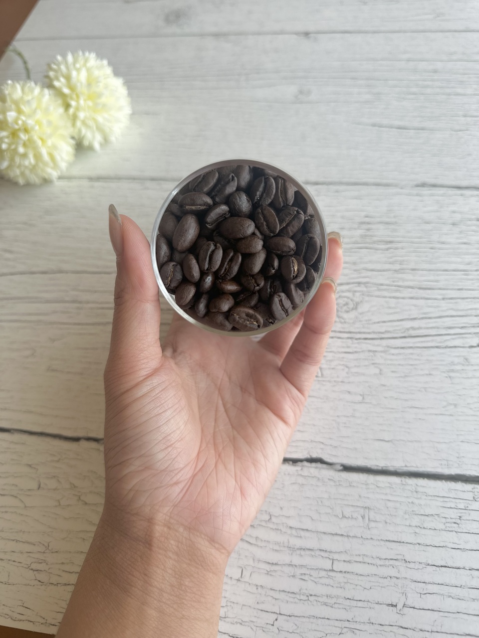 フェアトレード&有機栽培<メキシココーヒー/中煎>50度お湯洗いのコーヒー豆・粉(フィルター・エスプレッソ・フレンチプレス)
