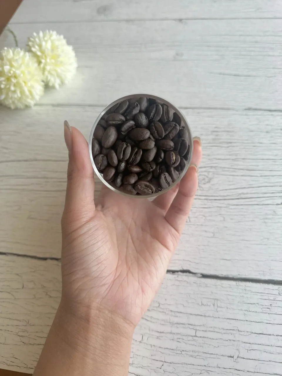 (GIFT)フェアトレード&有機栽培原料<2種*150g>50度お湯洗いのコーヒー豆・粉(フィルター・エスプレッソ・フレンチプレス)