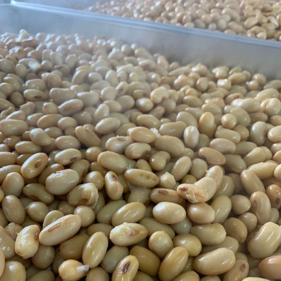 【自然栽培】丸玄大豆の蒸し大豆｜栗のような甘み