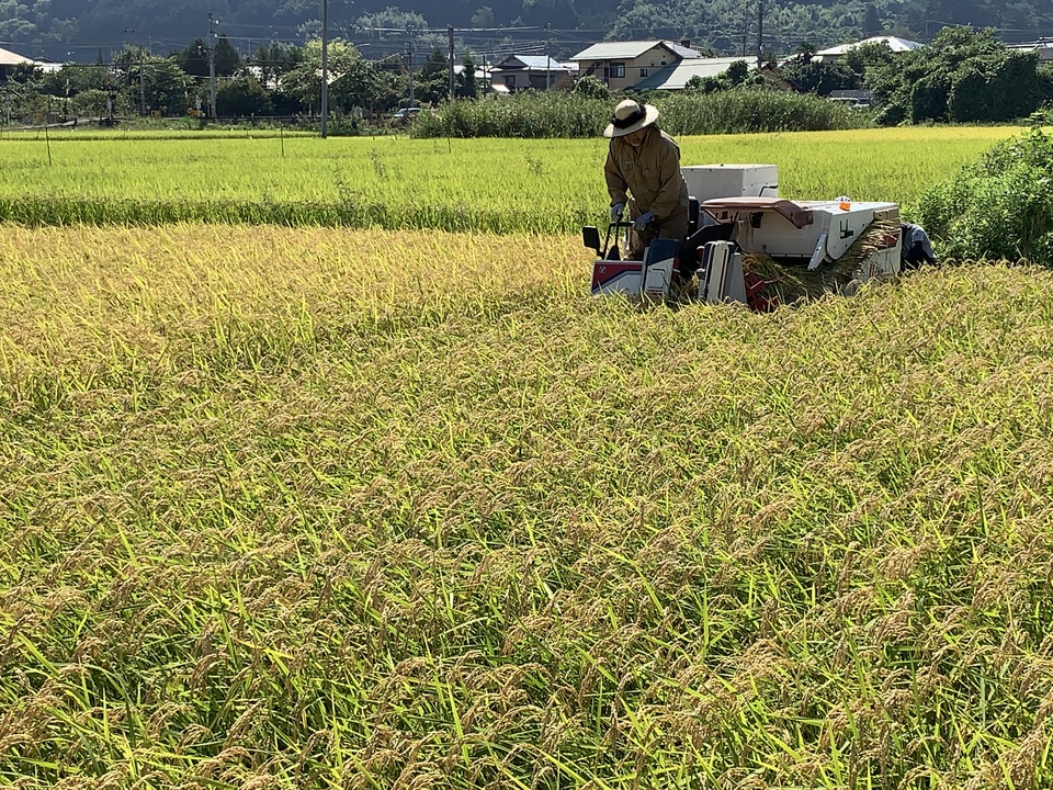 麺！麺！セット