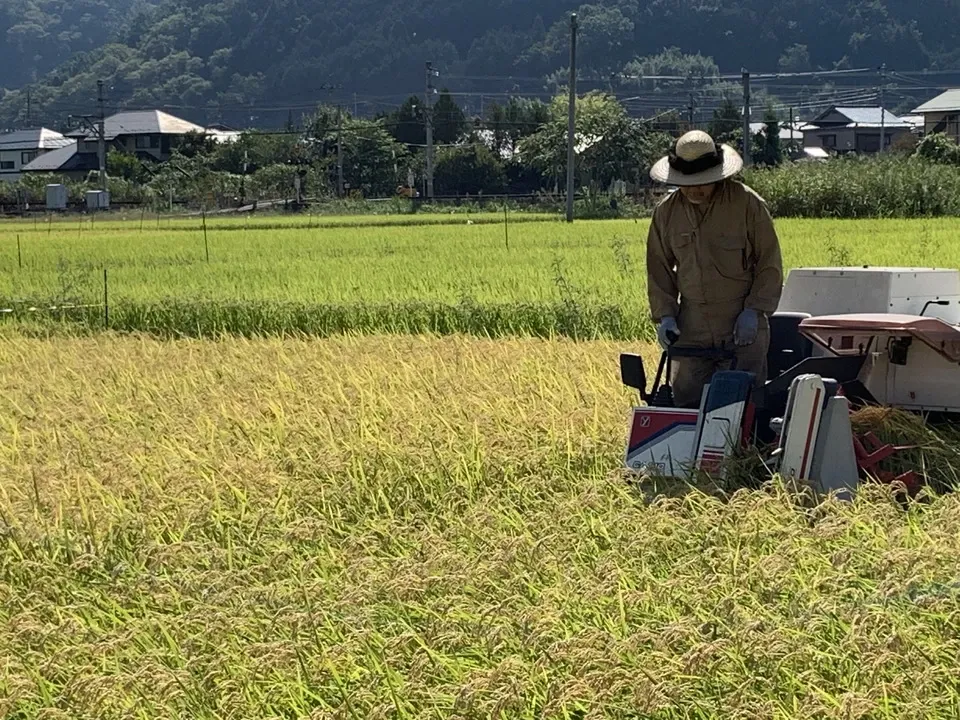 無添加 米麺