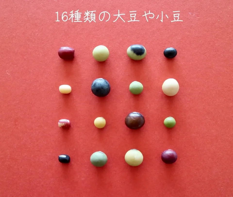 豆【小粒黒大豆 200g】忙しい時にこそ使って欲しい、小粒なお豆さん