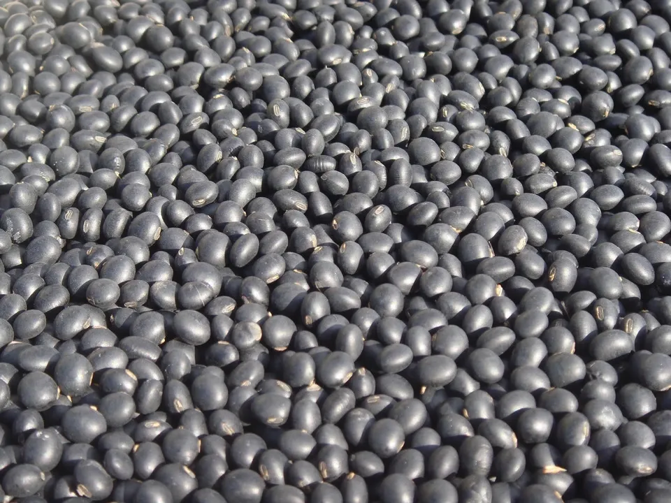 豆【小粒黒大豆 200g】忙しい時にこそ使って欲しい、小粒なお豆さん