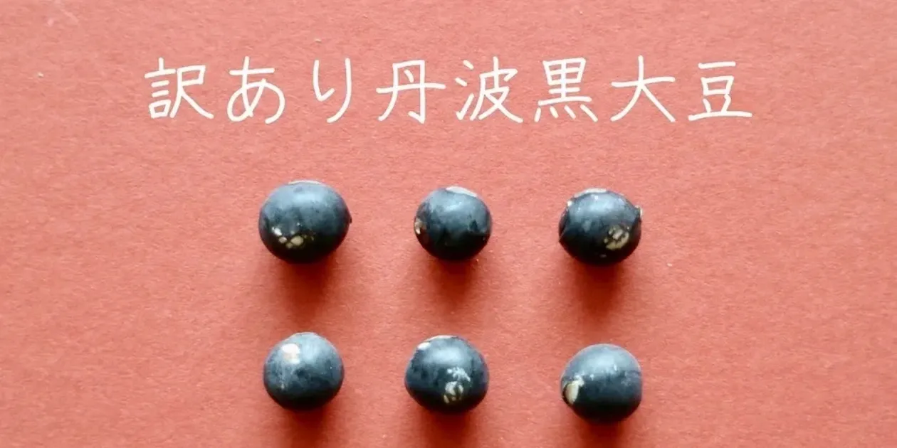丹波篠山産黒大豆　訳あり 豆【訳あり丹波黒大豆 200g】皮の破れやシワがあっても、味は