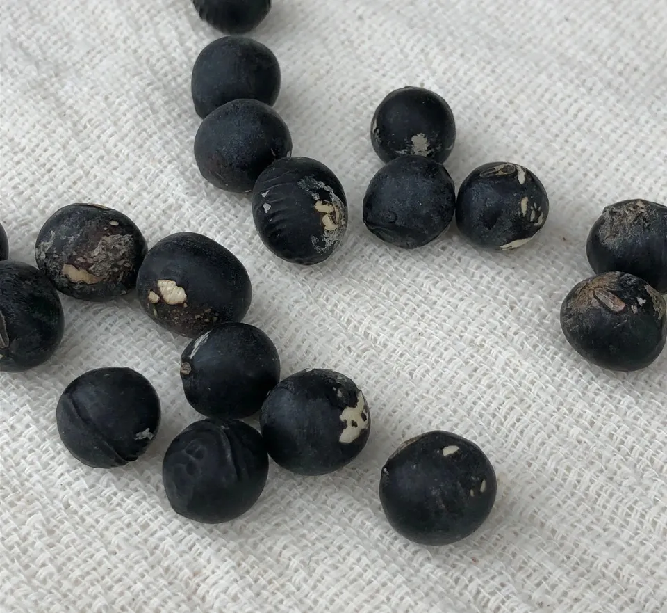 丹波篠山産黒大豆　訳あり 豆【訳あり丹波黒大豆 200g】皮の破れやシワがあっても、味は