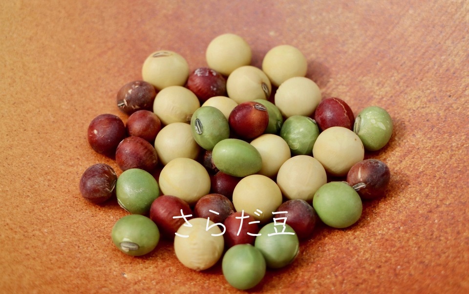 豆【3種類のミックスセット】一度に色々な大豆が楽しめます!