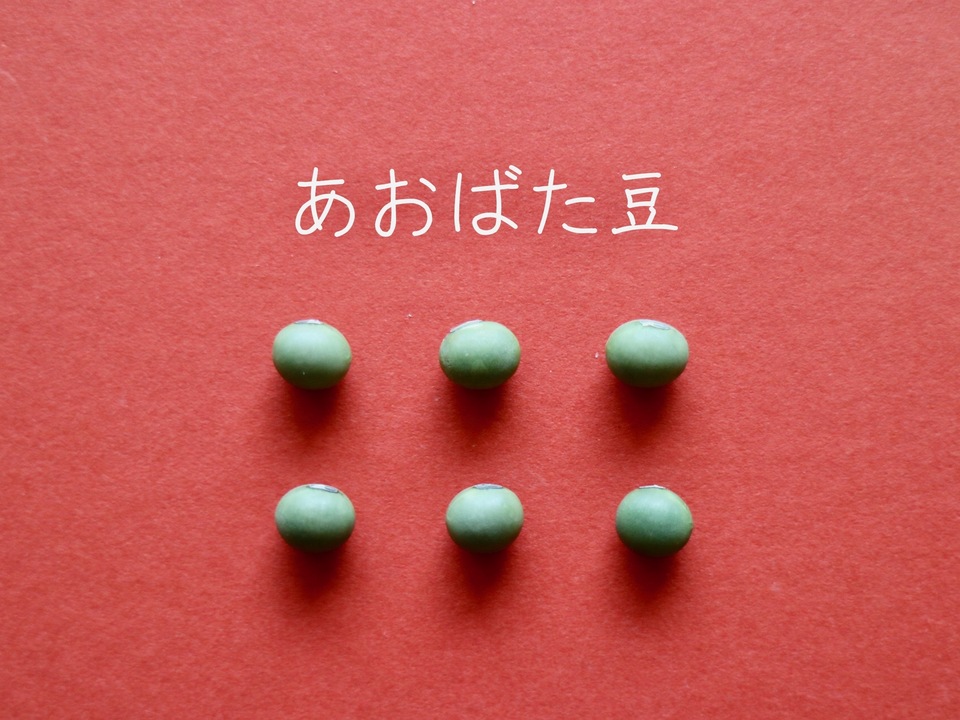 豆【あおばた豆 200g】色も味も深く濃い青大豆 丹波篠山