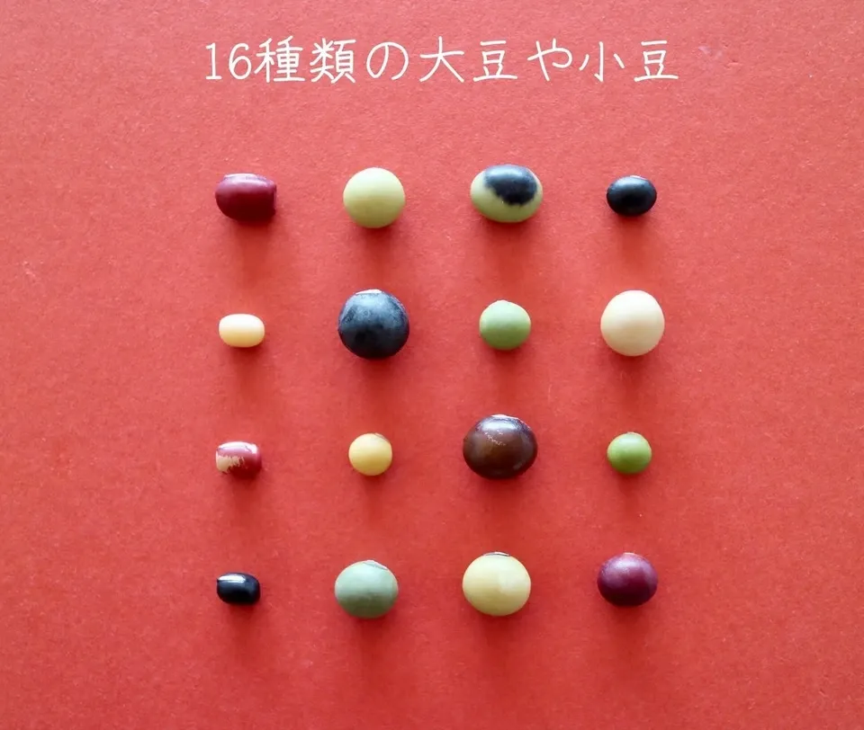 豆【お正月用 丹波黒大豆 200g 8袋】本場丹波篠山産の丹波黒です