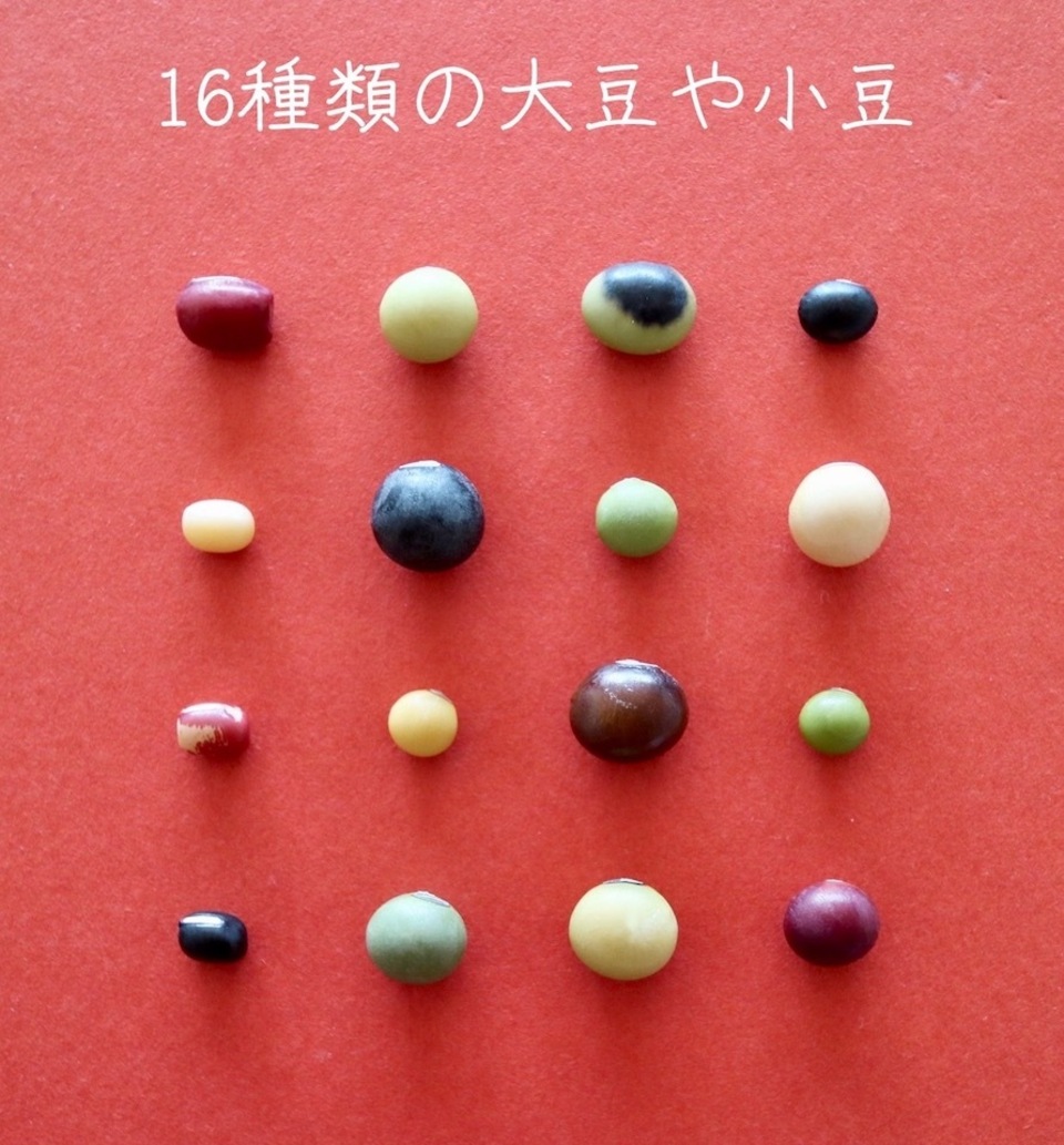 豆【丹波白小豆 200g】上品すぎる姿と味・・・純度100%の白餡は絶品です