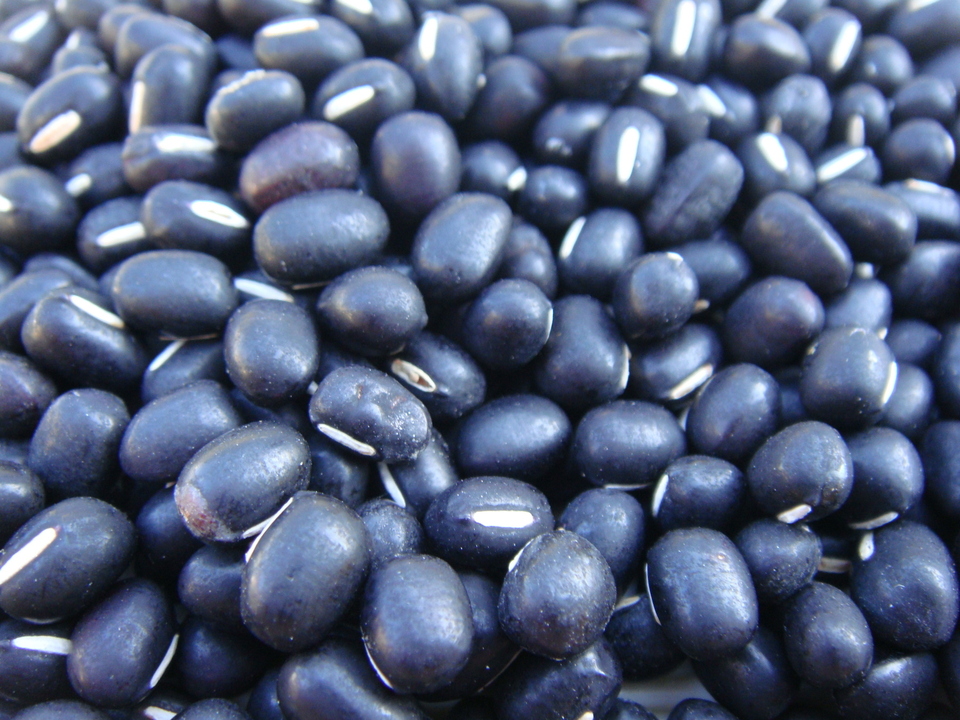 豆【黒小豆 200g】小粒でも栄養満点!コク深い小豆です