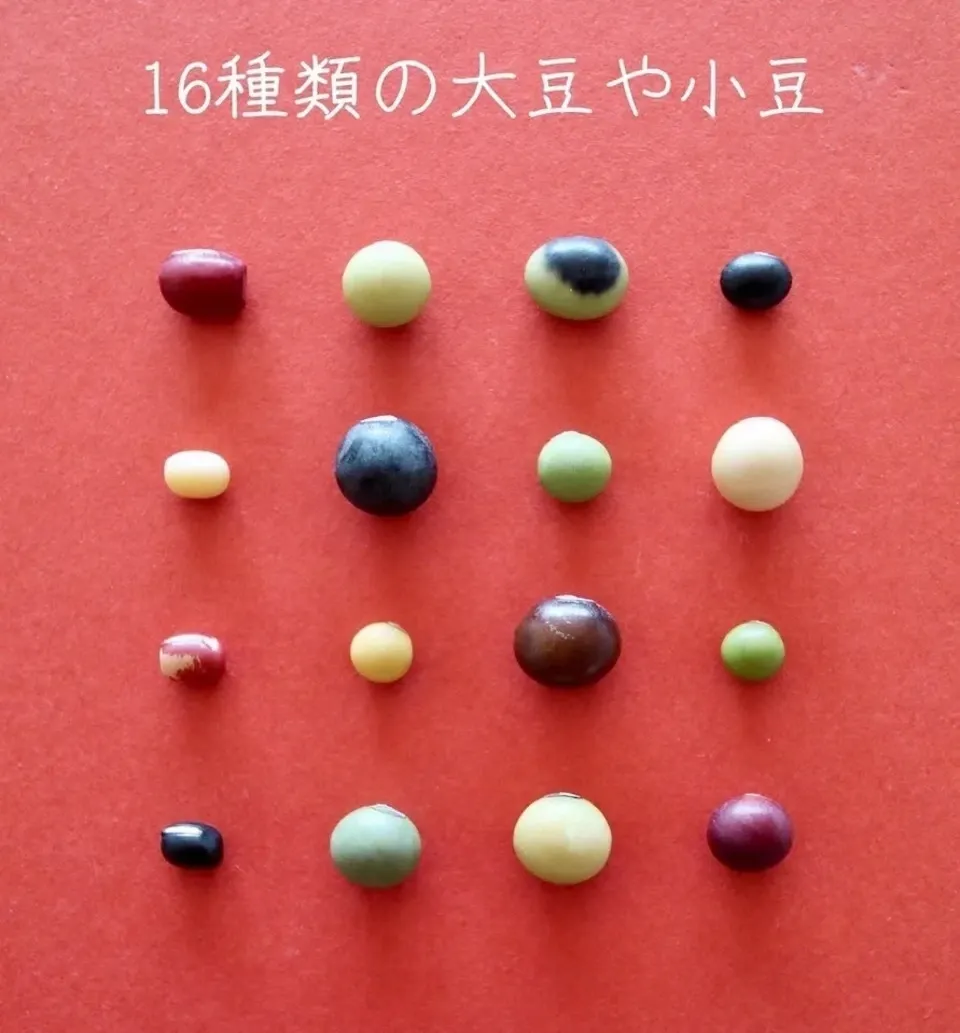 送料無料 豆【丹波大納言小豆 200g 6袋】味よし大きさよし香りよし、希少なブランド小豆です