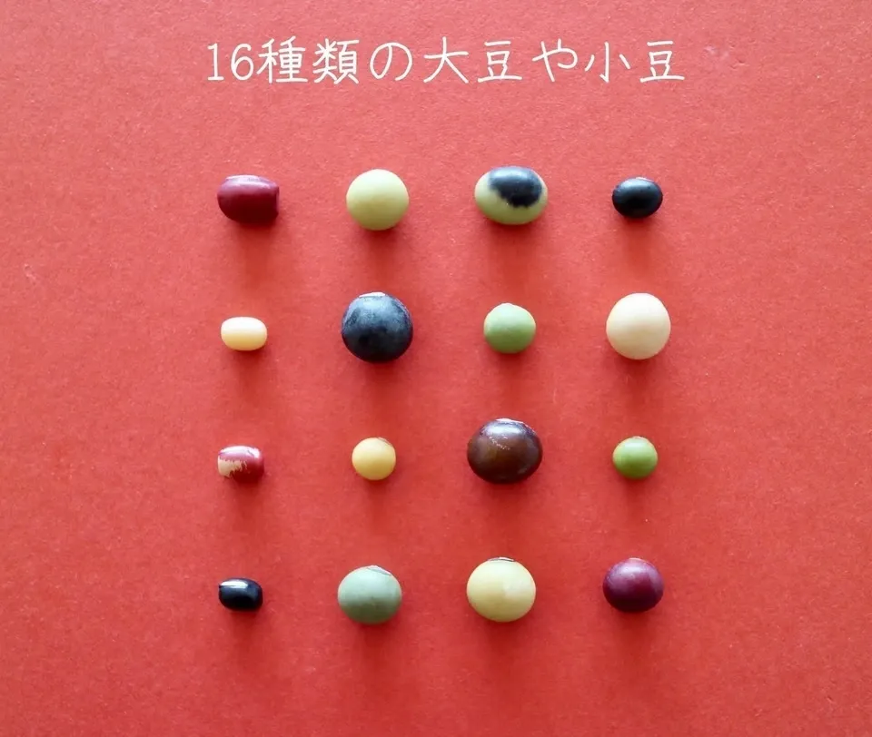 送料無料 豆【 だいずミックス 200g 6袋】北から南から、日本全国の大豆が集合!