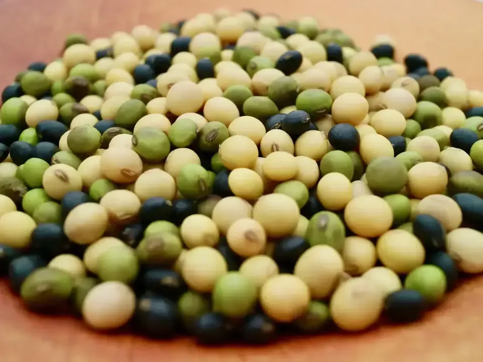 豆【ごはん豆 200g 9袋】小粒で主張しすぎないのに栄養満点!