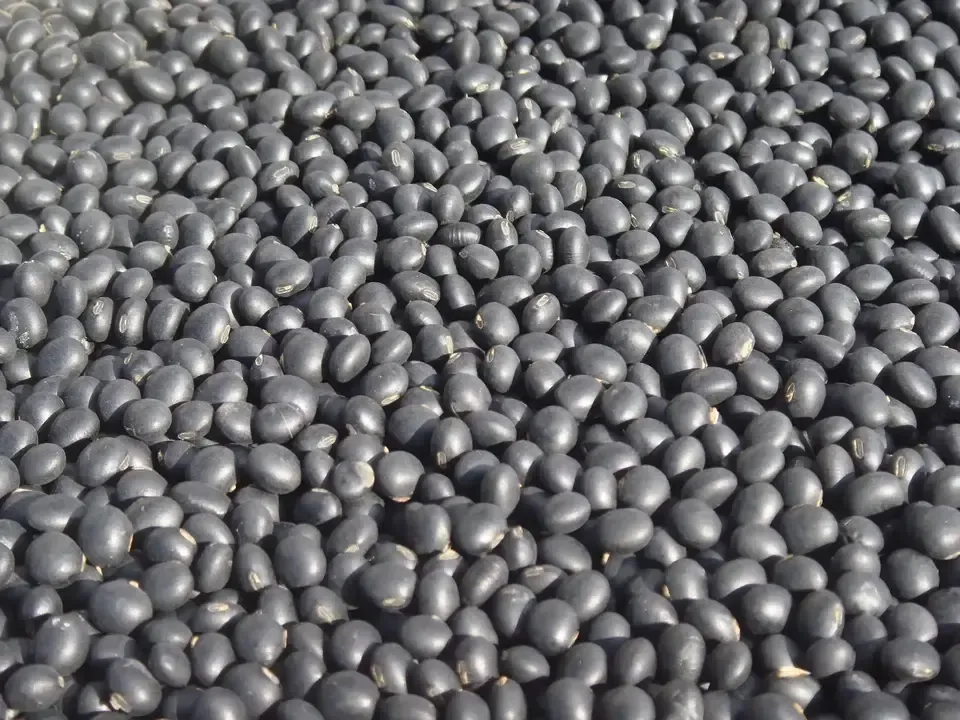 送料無料 豆【小粒黒大豆 200g】忙しい時にこそ使って欲しい、小粒なお豆さん