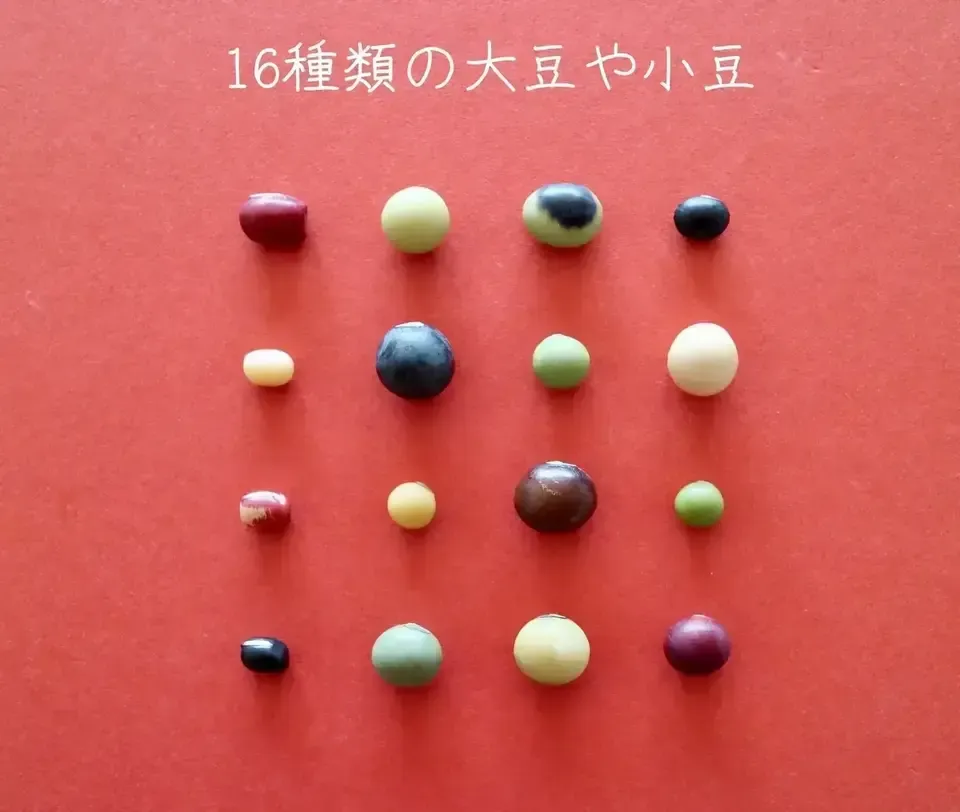 送料無料 豆【小粒黒大豆 200g】忙しい時にこそ使って欲しい、小粒なお豆さん